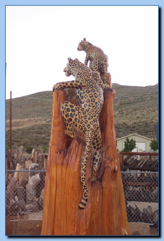 2-07 leopards-archive
